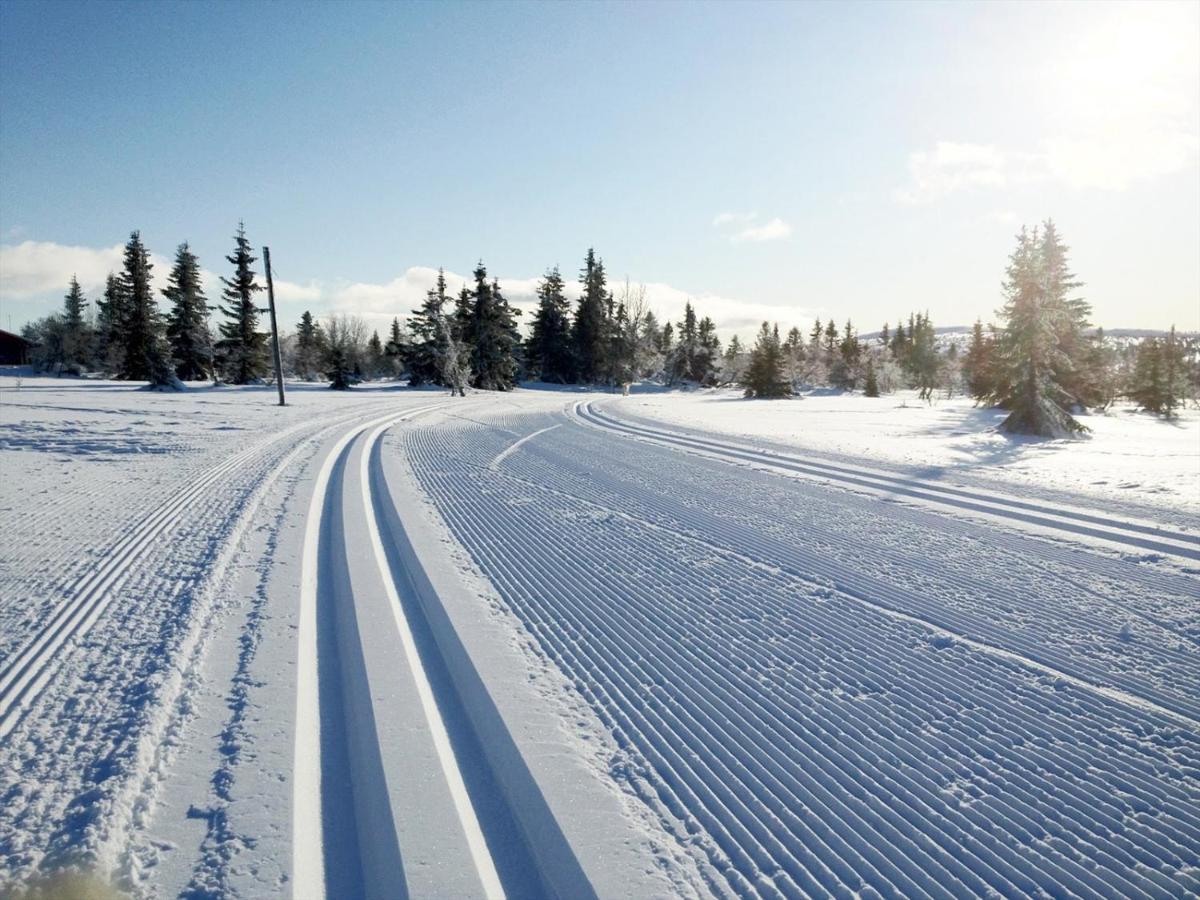 Ski And Bike-In And Out Hafjell Ngoại thất bức ảnh